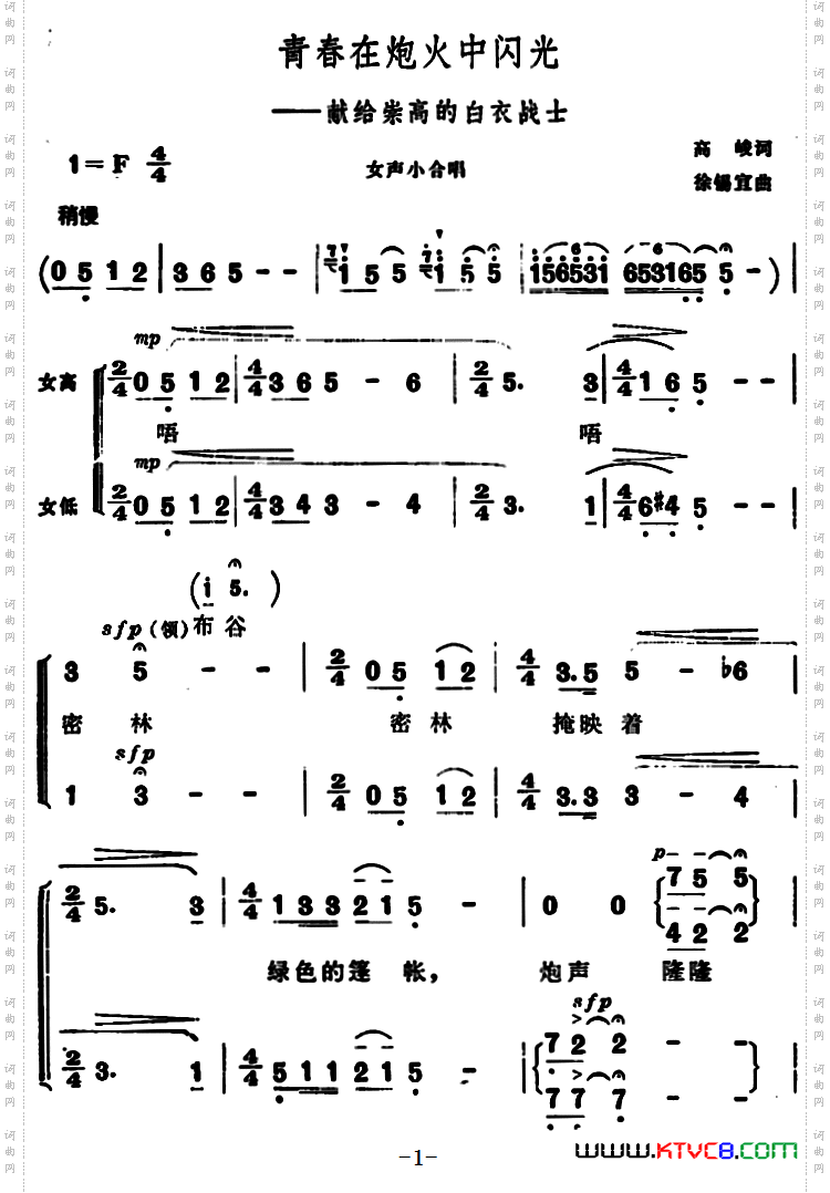 青春在炮火中闪光