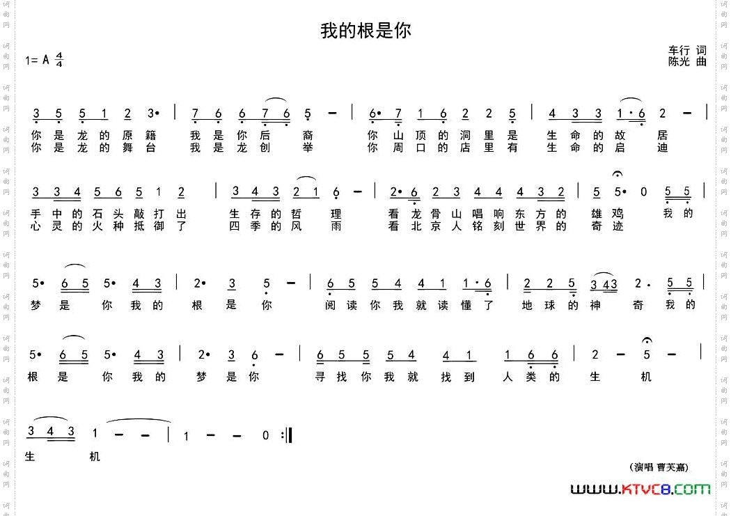 我的根是你