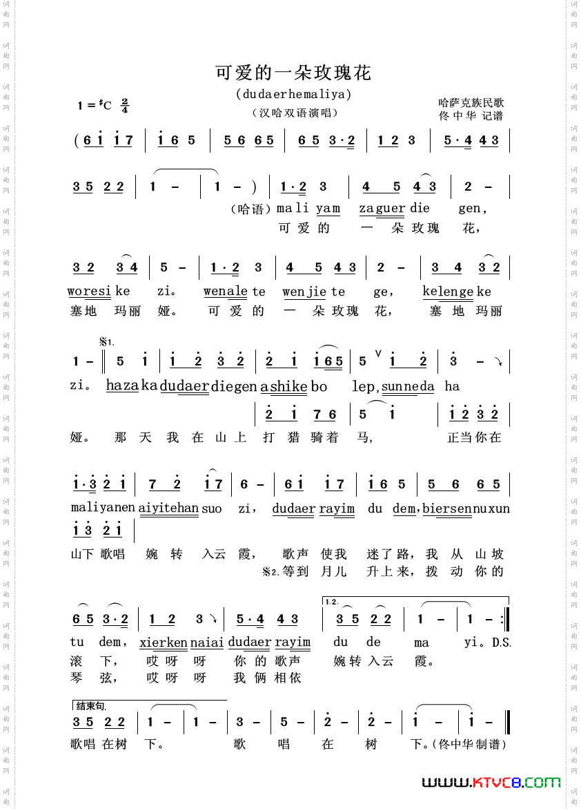 可爱的一朵玫瑰花_汉哈双语演唱