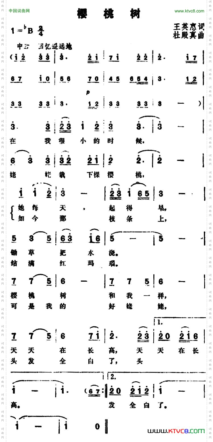 樱桃树