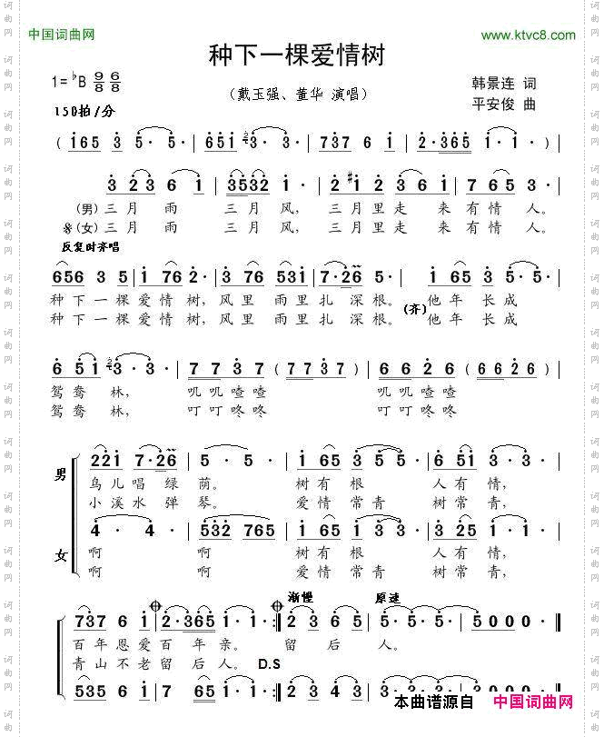 种下一棵爱情树