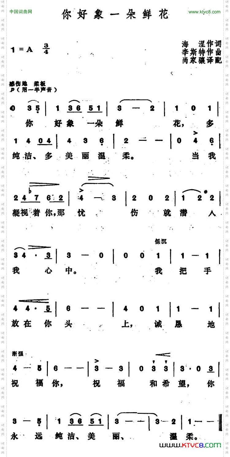 [匈]你好象一朵鲜花