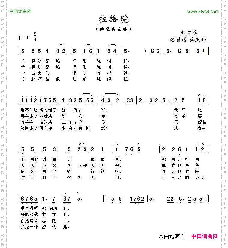 拉骆驼内蒙古山曲
