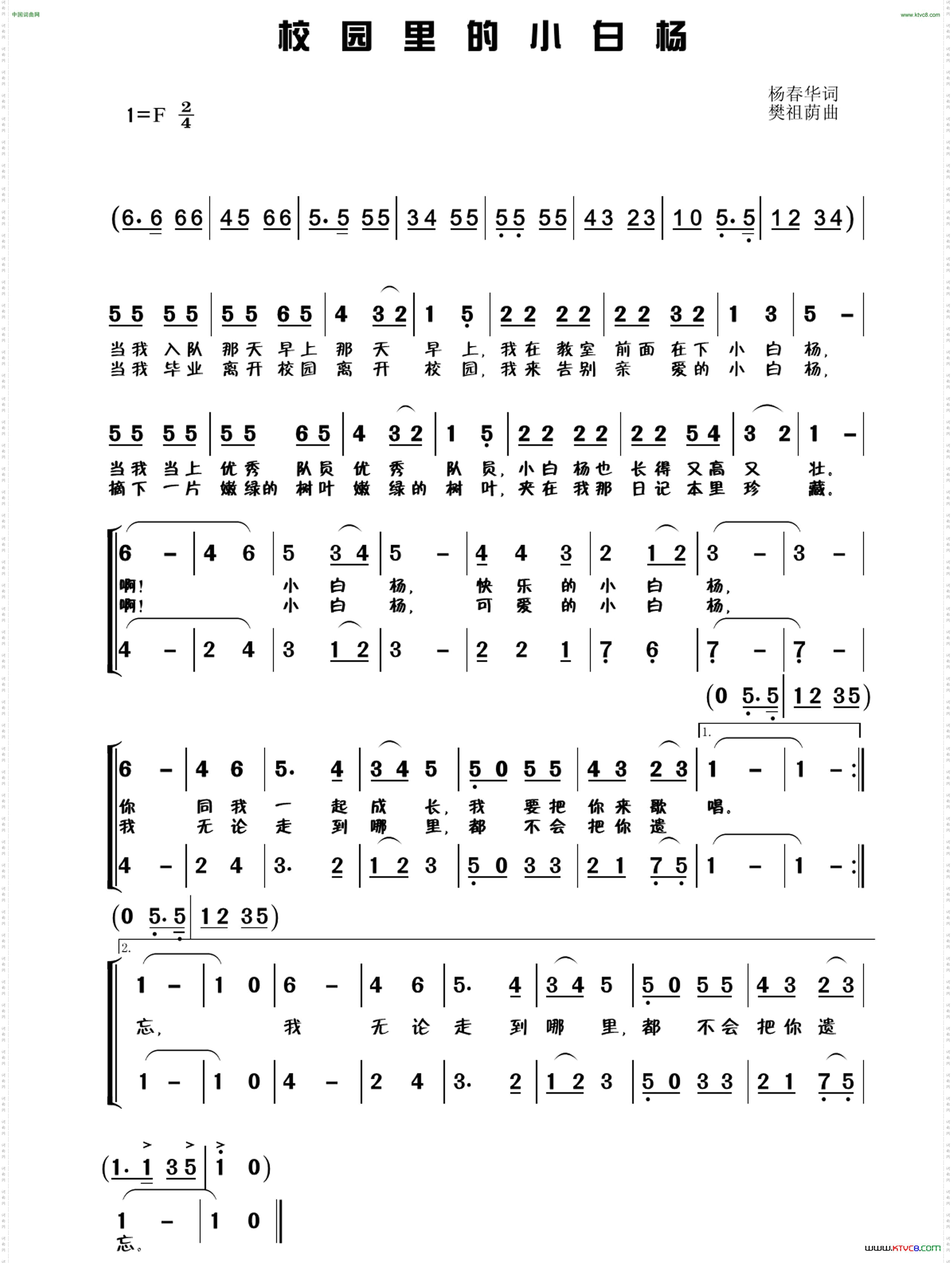 校园里的小白杨