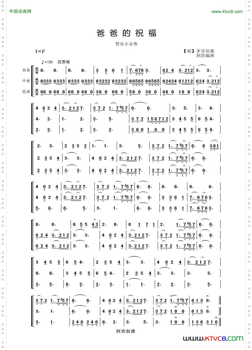 爸爸的祝福独唱拨奏谱