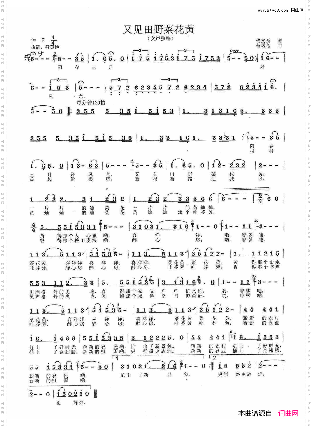 又见田野菜花黄