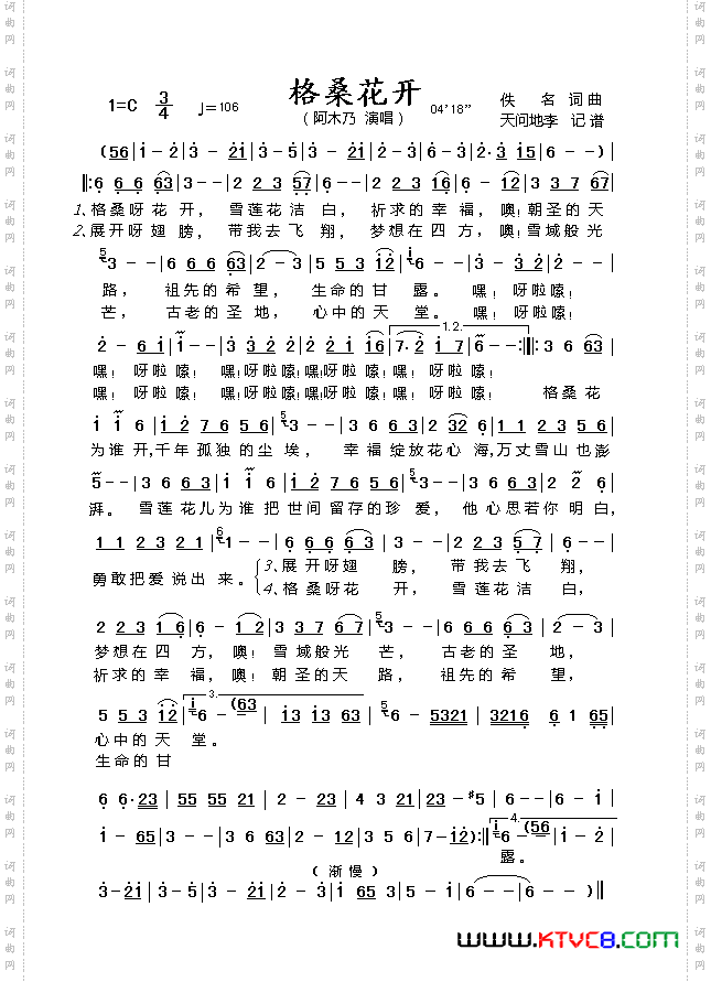 格桑花开
