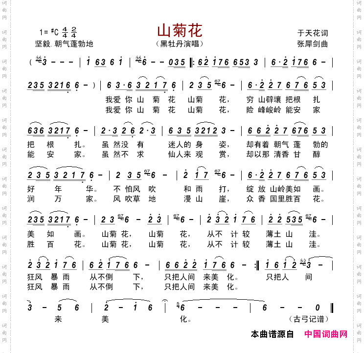 山菊花