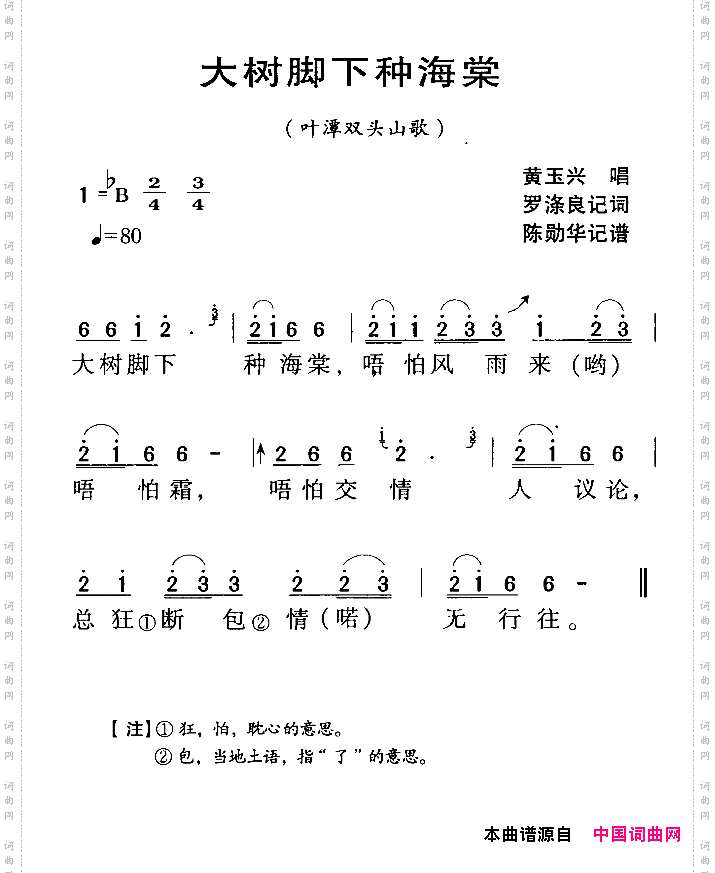 河源民歌：大树脚下种海棠