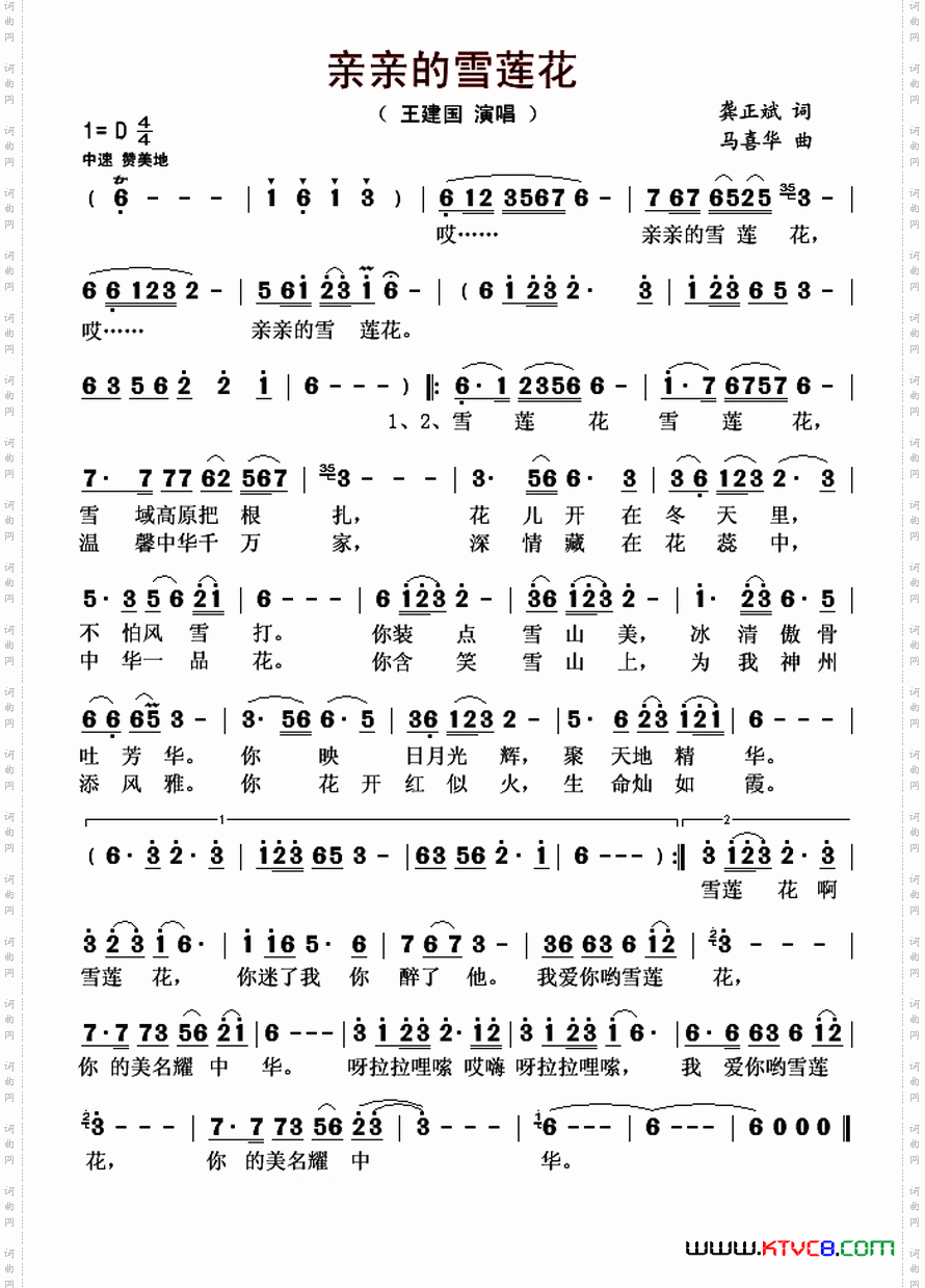 亲亲的雪莲花