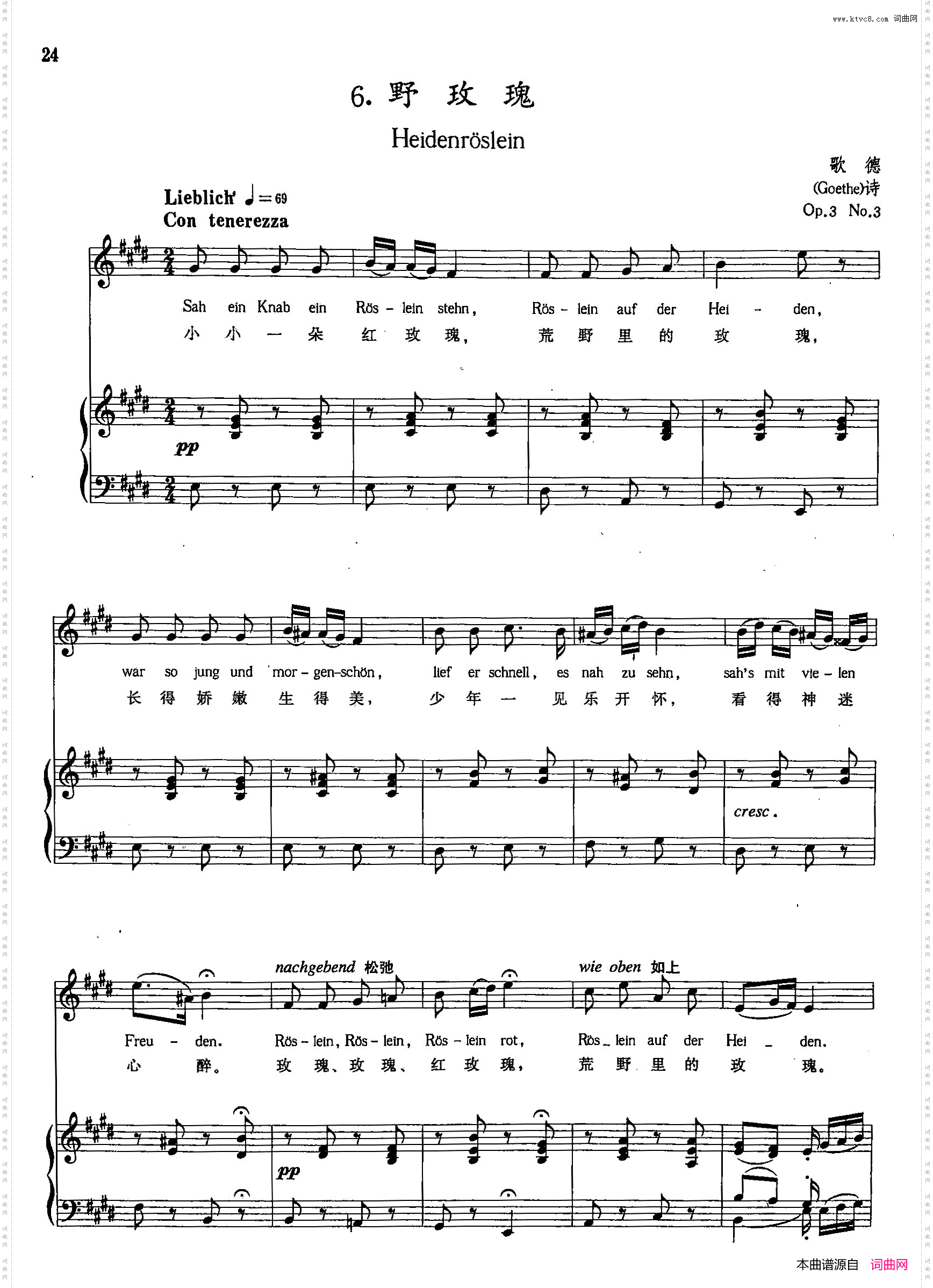 [奥]6野玫瑰正谱