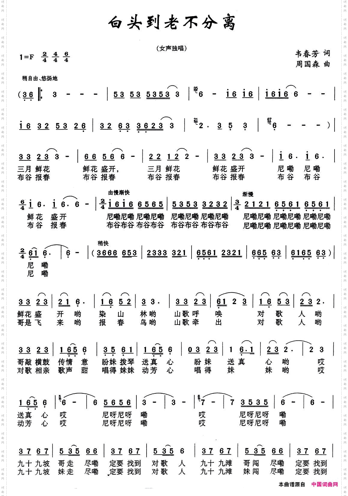 白头到老不分离