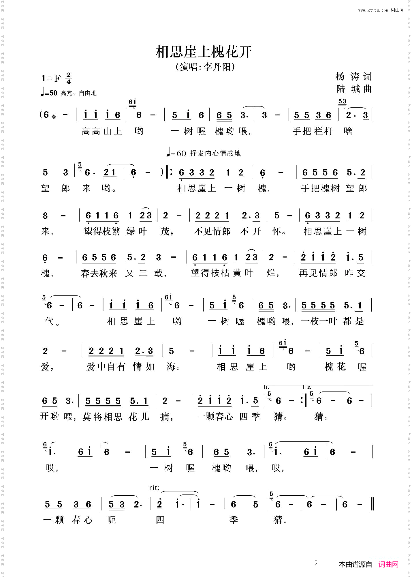 相思崖上槐花开