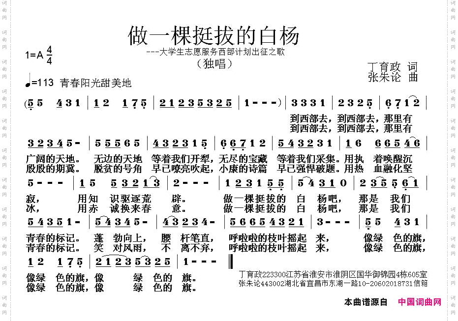 做一棵挺拔的白杨