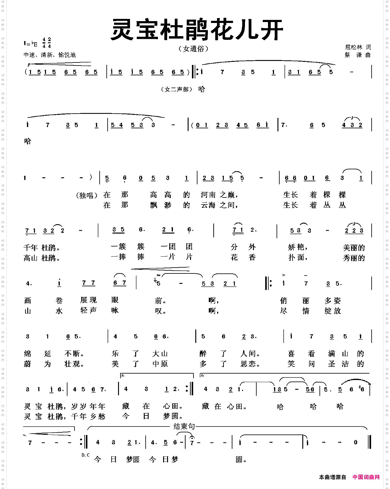 灵宝杜鹃花儿开