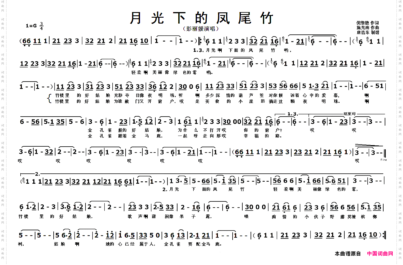 月光下的凤尾竹