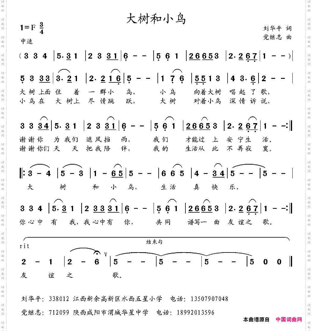 大树和小鸟