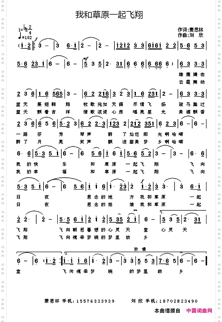 我和草原一起飞翔