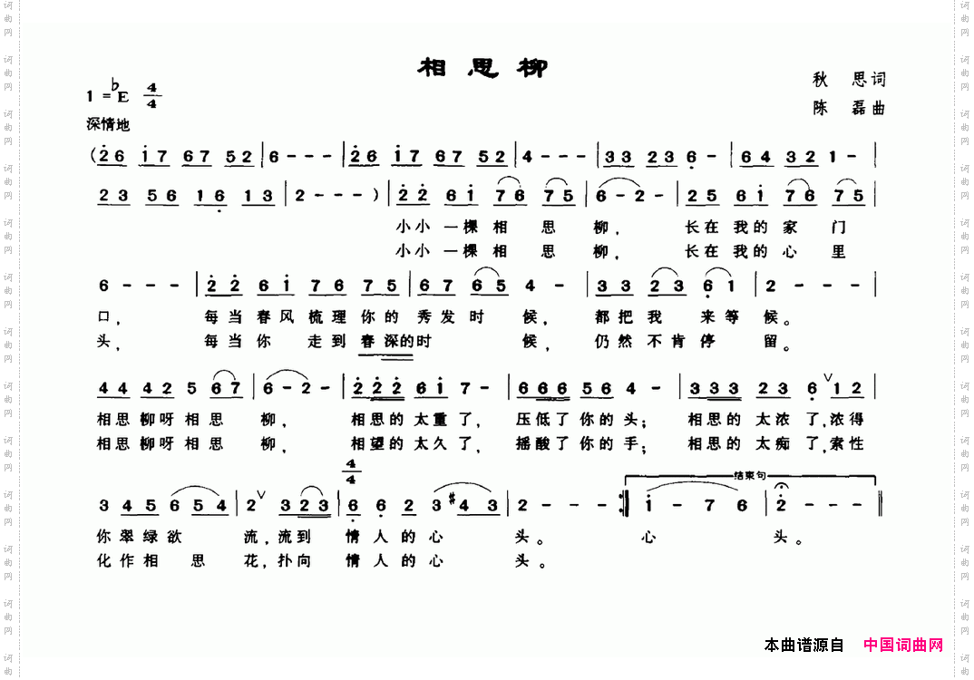 相思柳