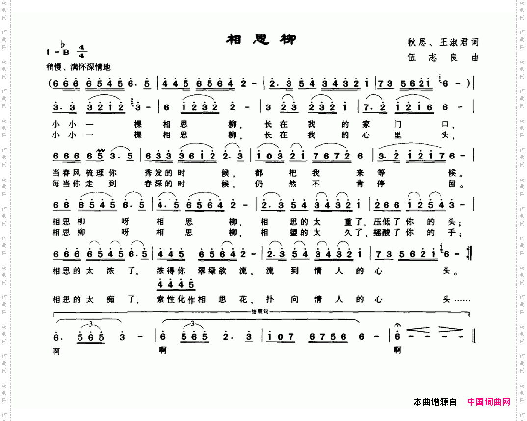 相思柳