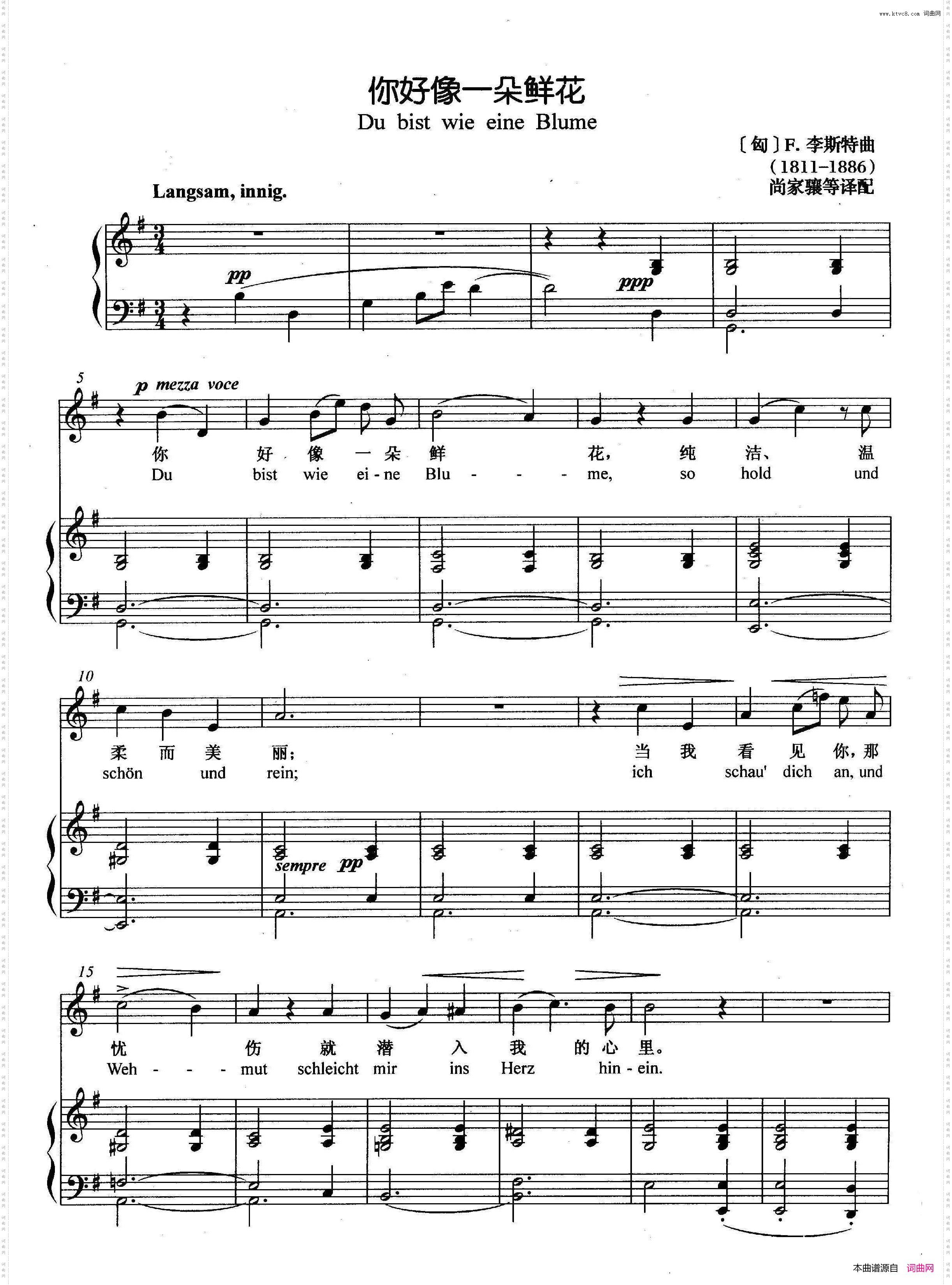 [匈]你好像一朵鲜花正谱