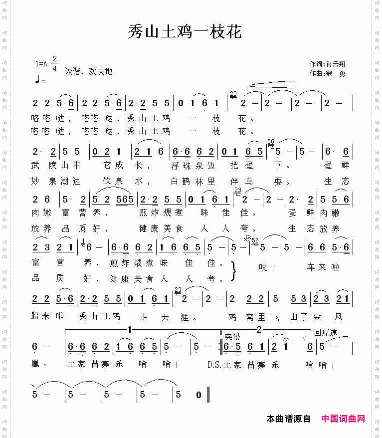 秀山土鸡一枝花