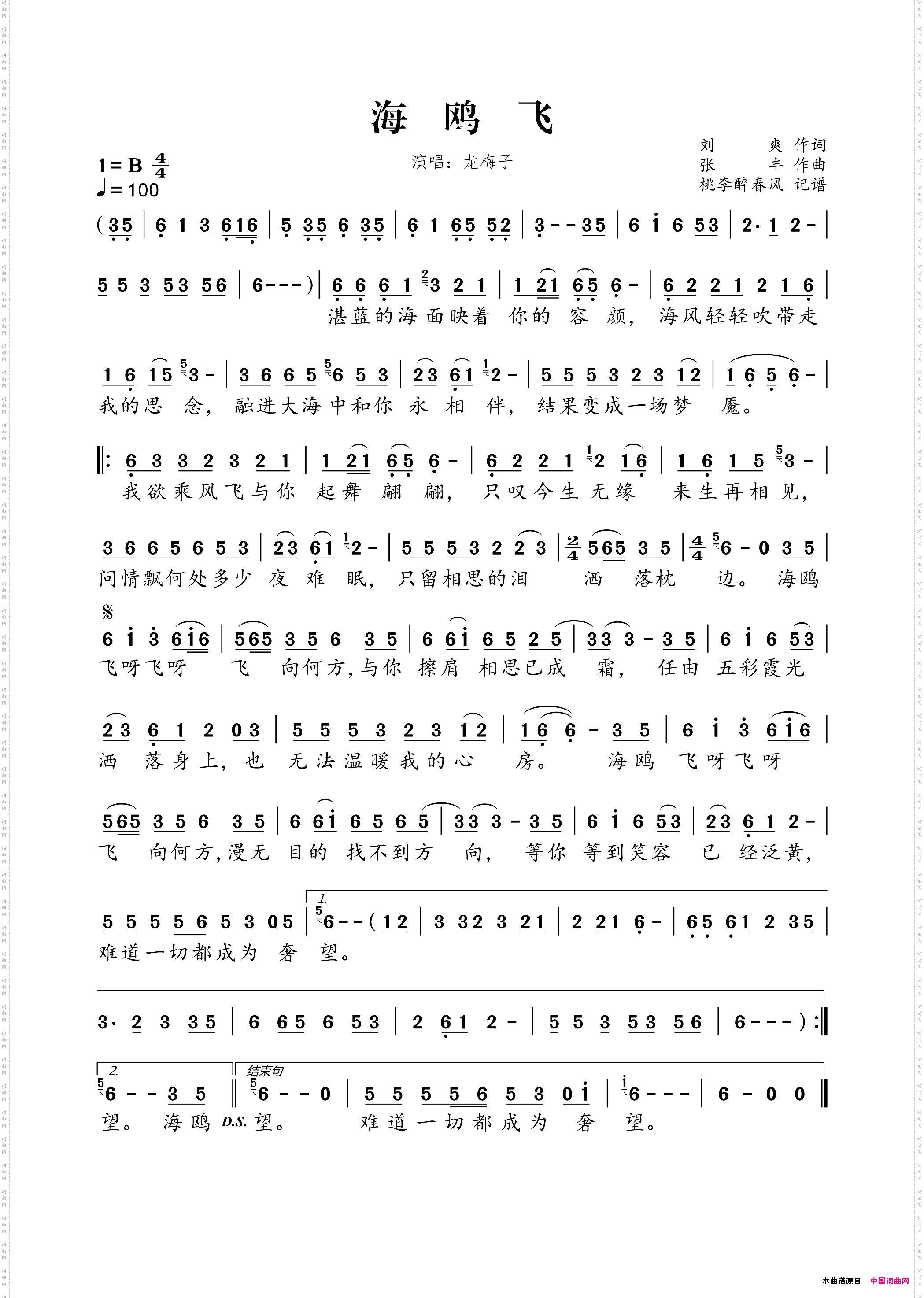 海鸥飞刘爽词张丰曲_海鸥飞刘爽词 张丰曲
