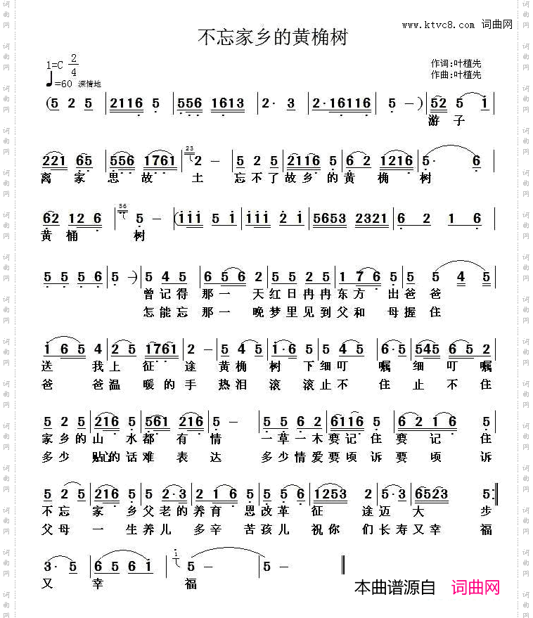 不忘家乡的黄桷树