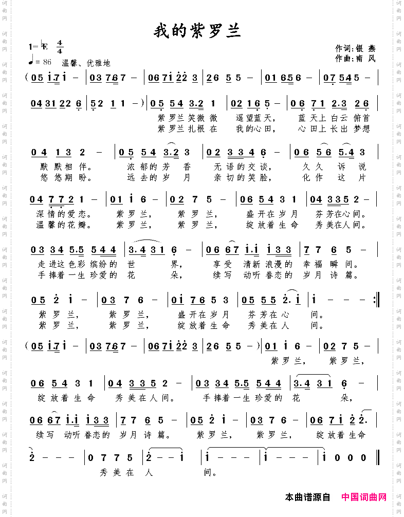 我的紫罗兰
