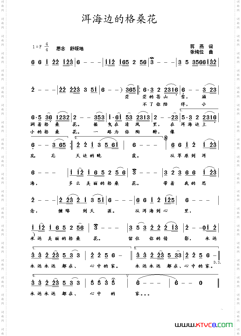 洱海边的格桑花