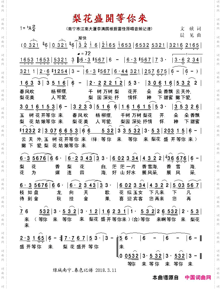 梨花盛开等你来