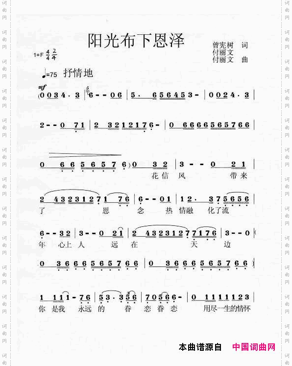 阳光布下恩泽