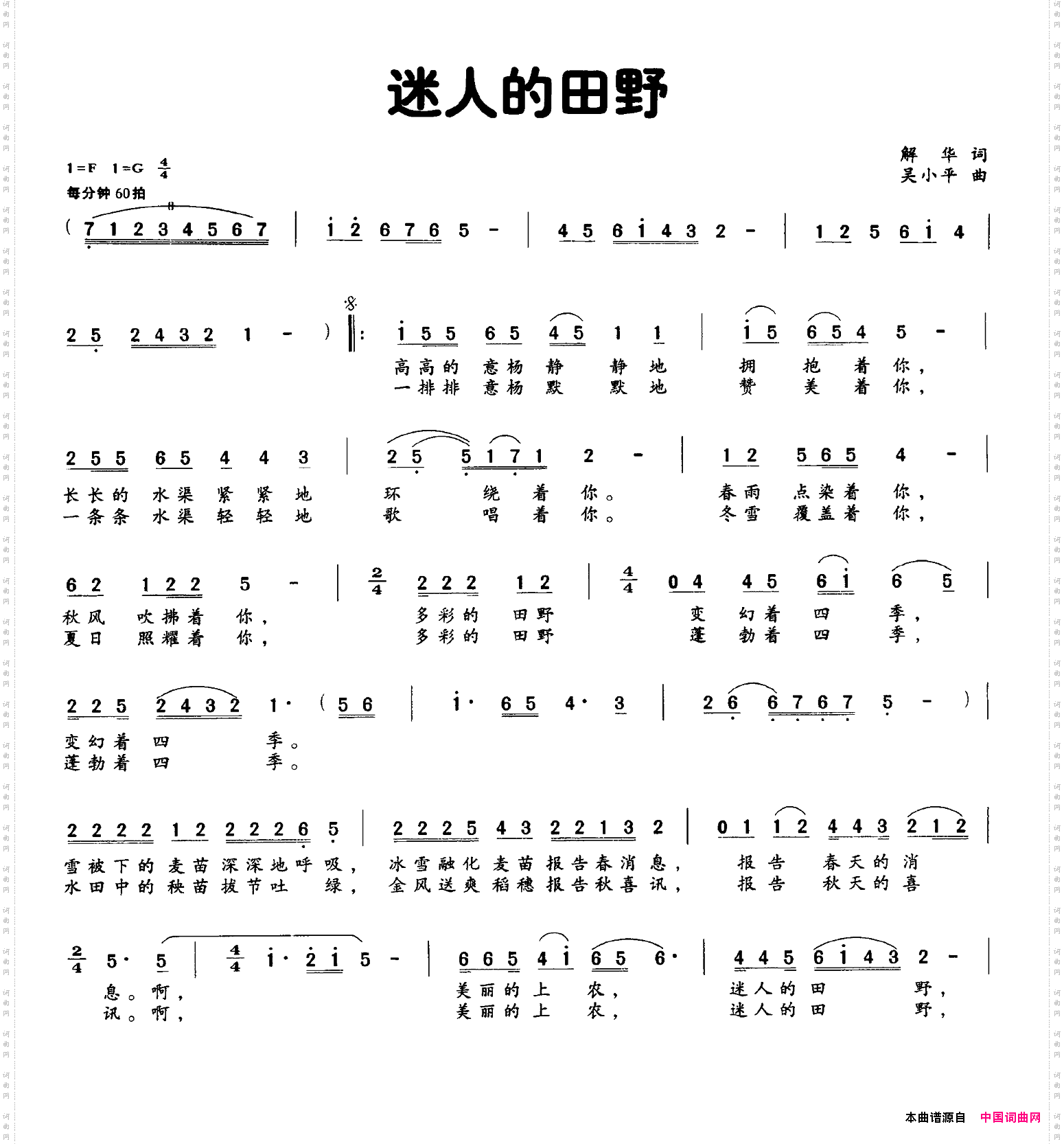 迷人的田野