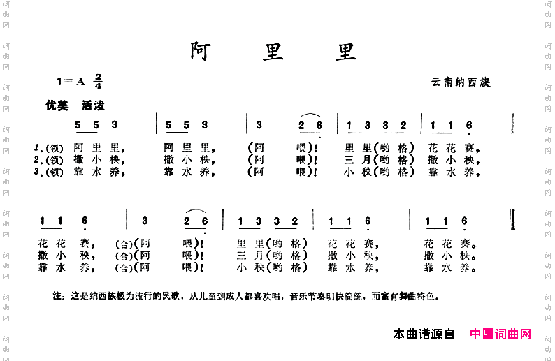 阿里里云南纳西族民歌