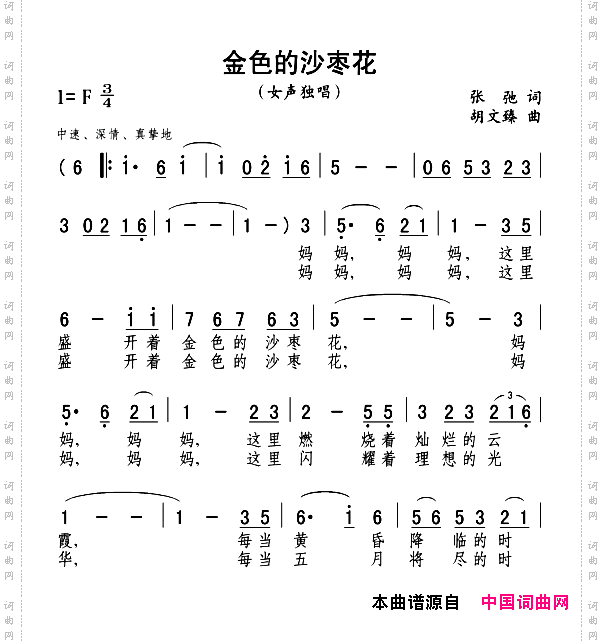 金色的沙枣花