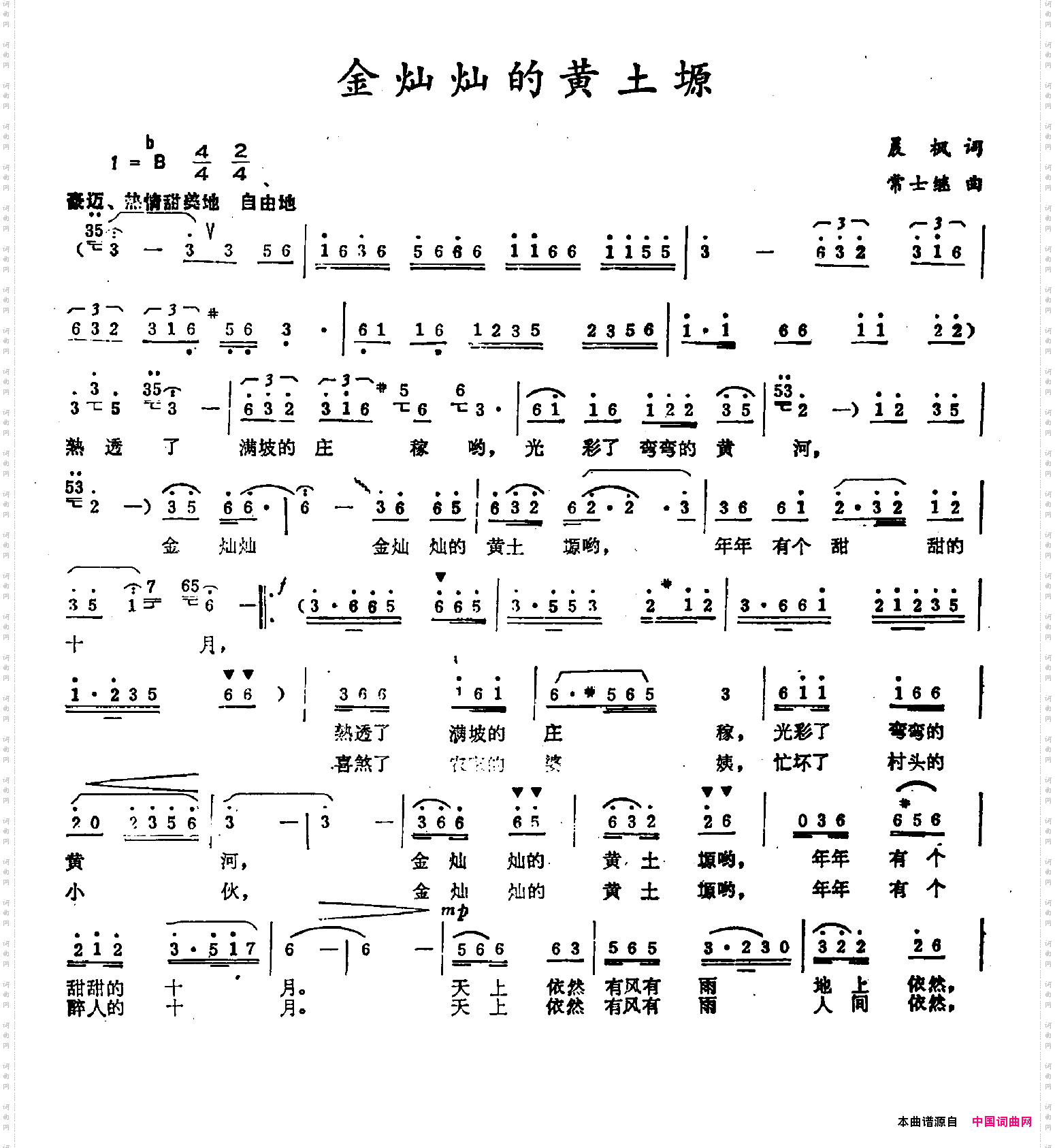 金灿灿的黄土塬