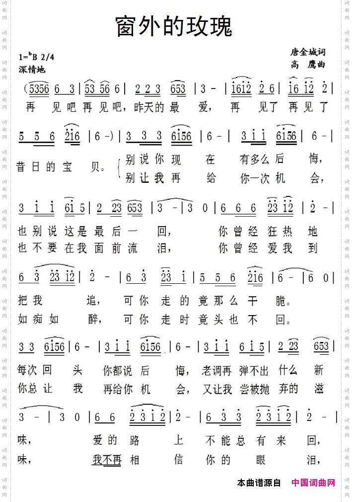 窗外的玫瑰