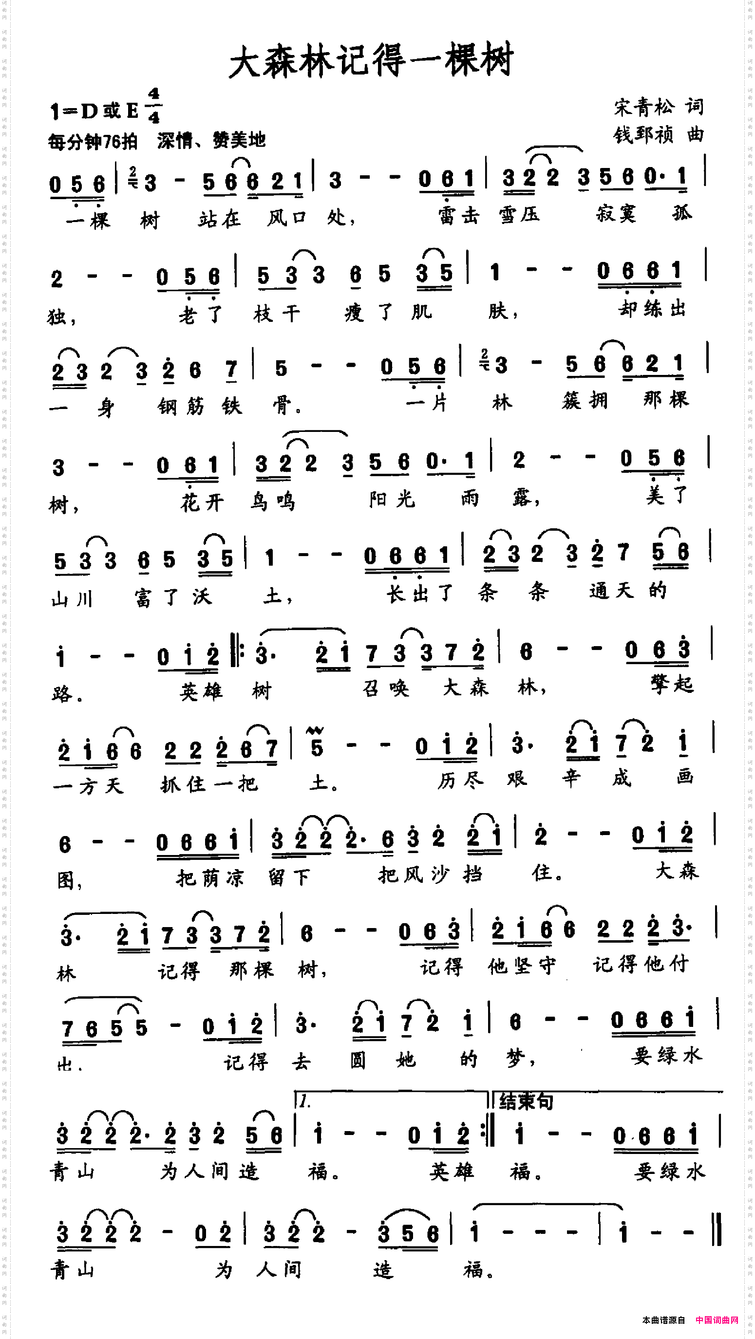 大森林记得一棵树