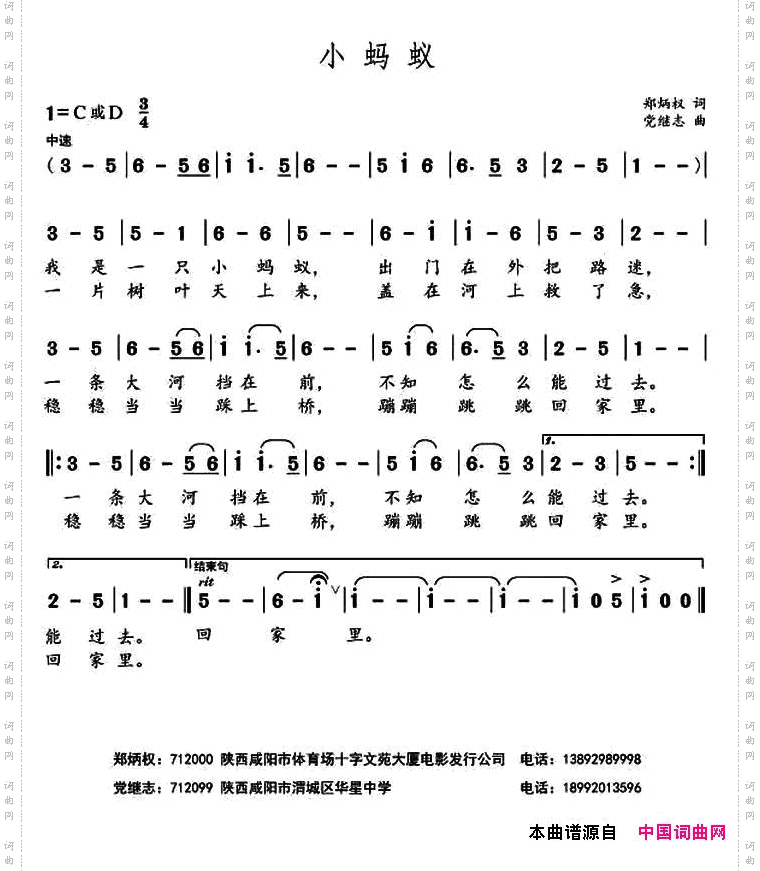 小蚂蚁