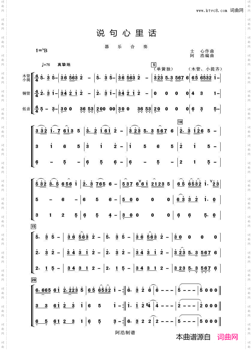 说句心里话器乐合奏