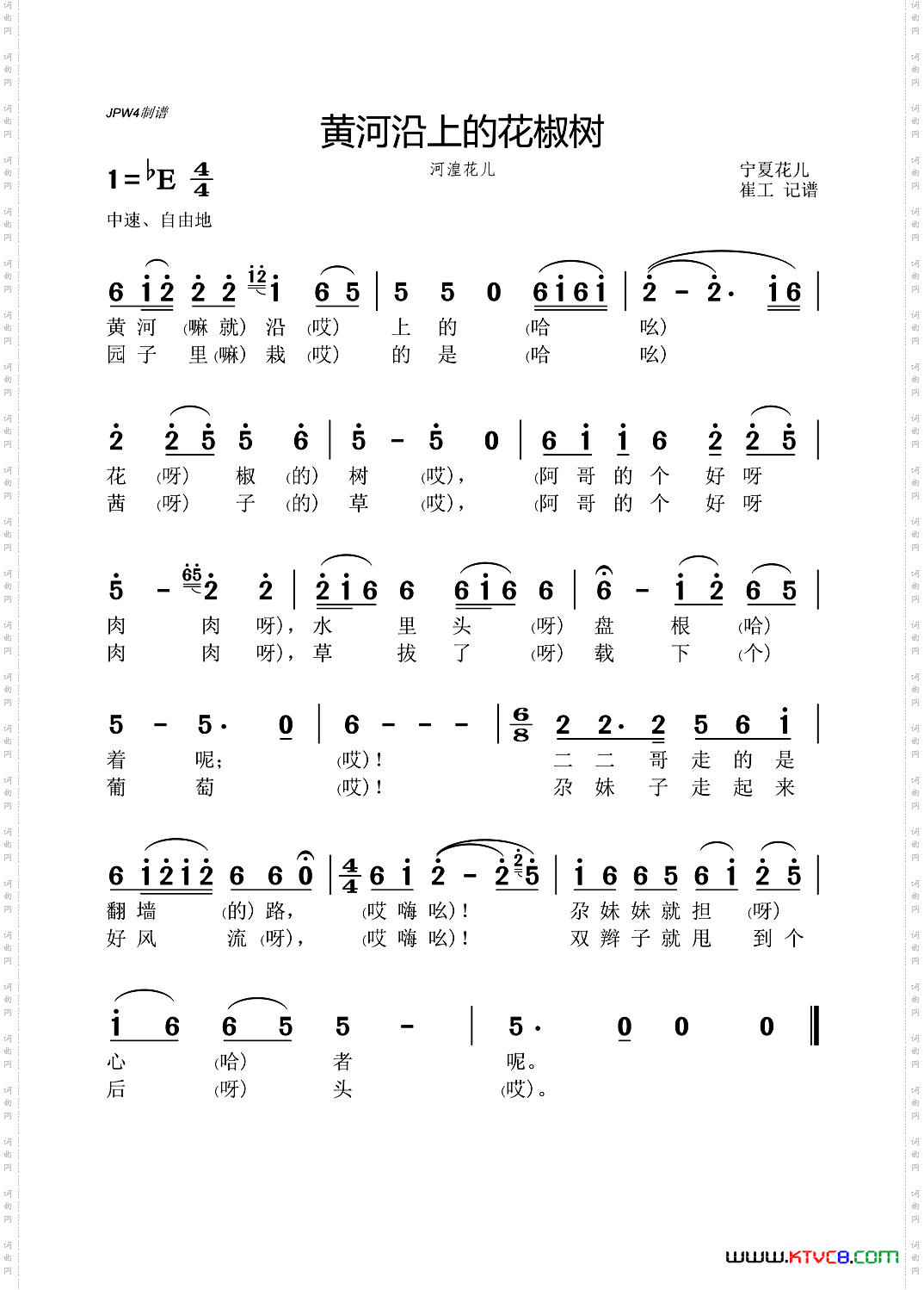 黄河沿上花椒树宁夏花儿