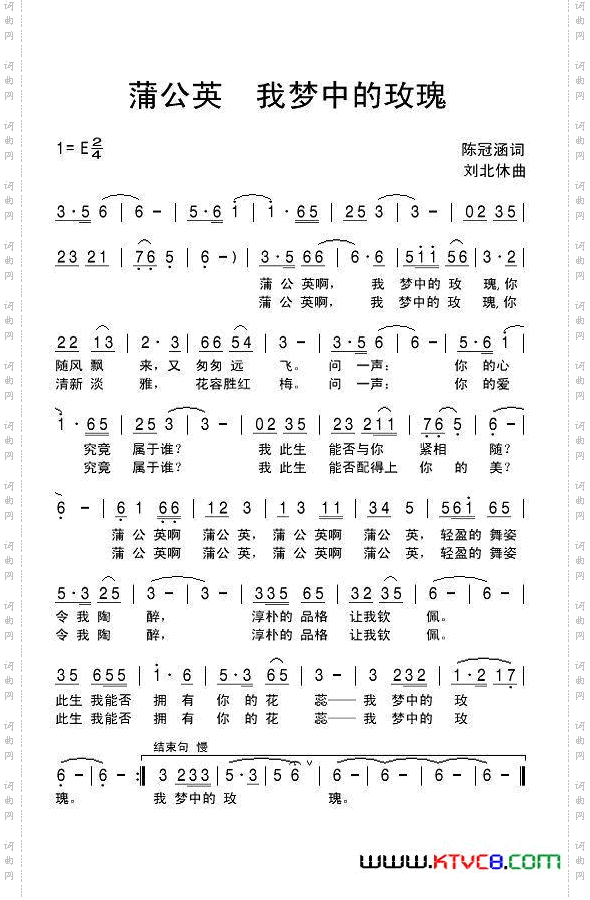 蒲公英,我梦中的玫瑰