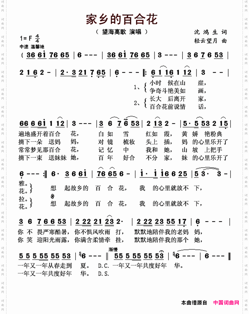 家乡的百合花