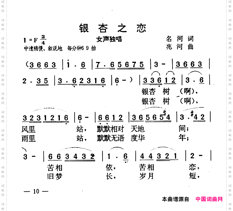 银杏之恋