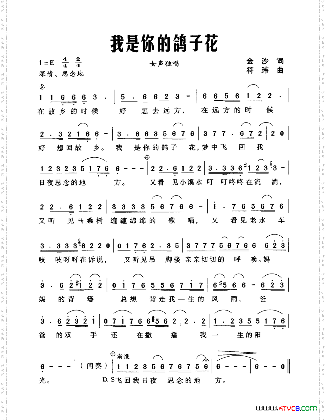 我是你的鸽子花