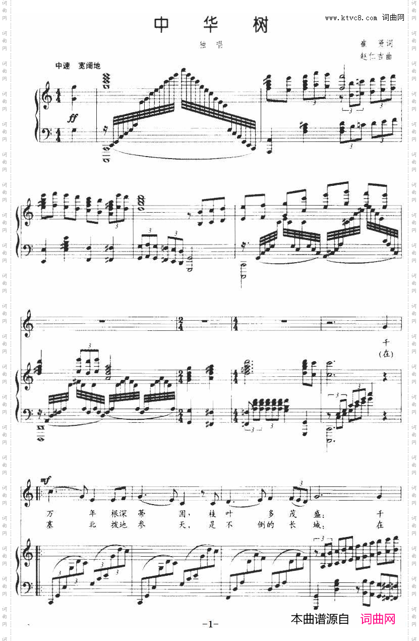 中华树_正谱