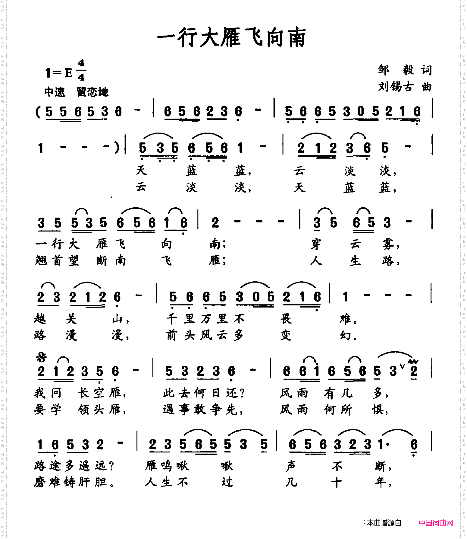 一行大雁飞向南