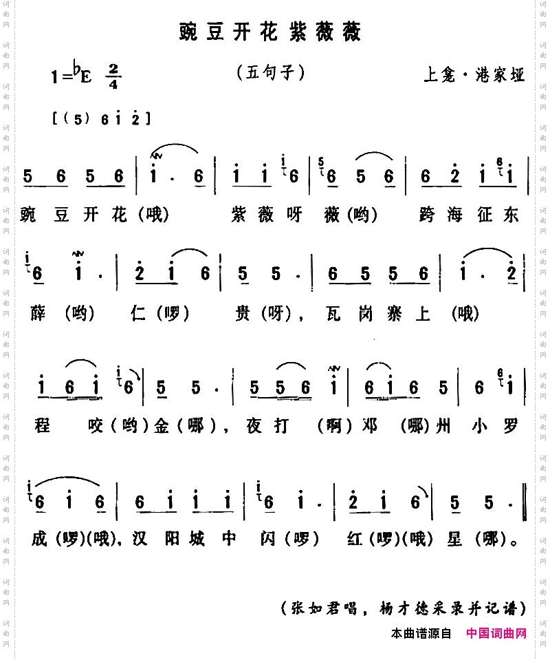 房县民歌：豌豆开花紫薇薇