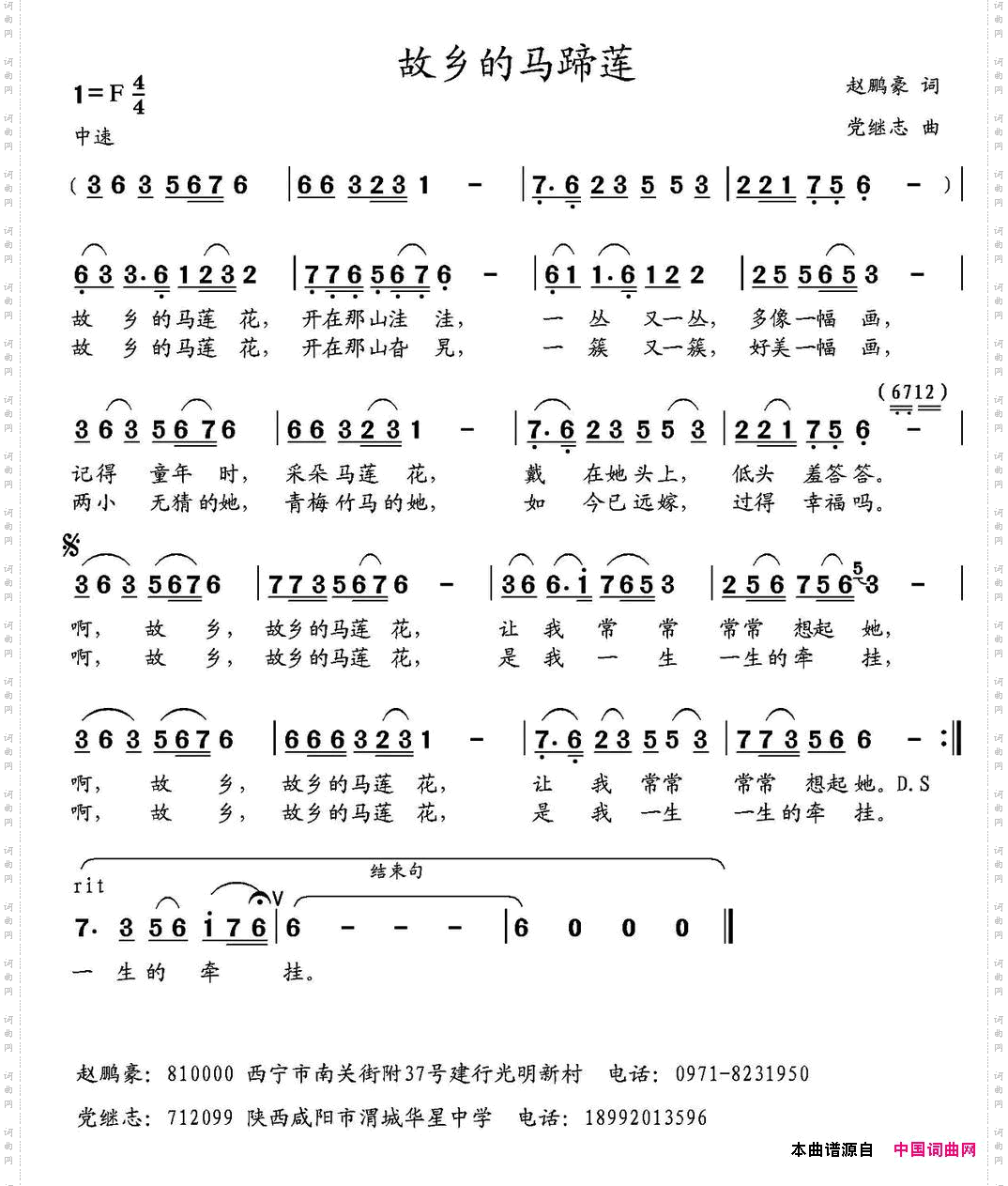 故乡的马蹄莲