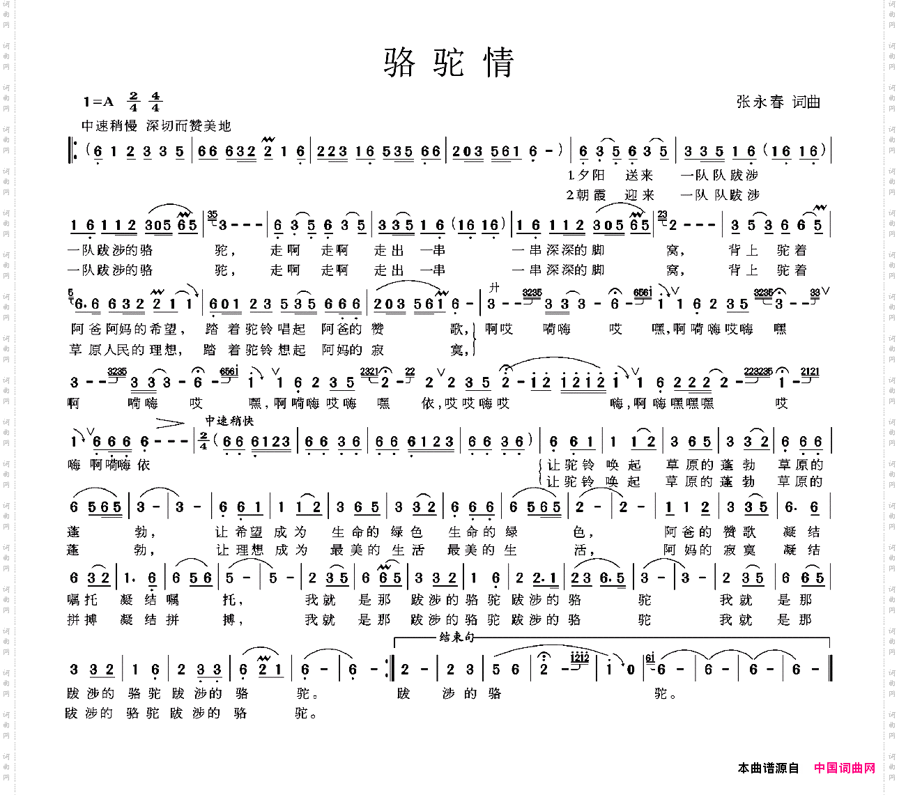 骆驼情